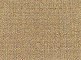 Sunbrella Linen Sesame (8318-0000)